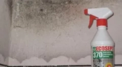 Kako ukloniti miris plijesni i vlažljivi